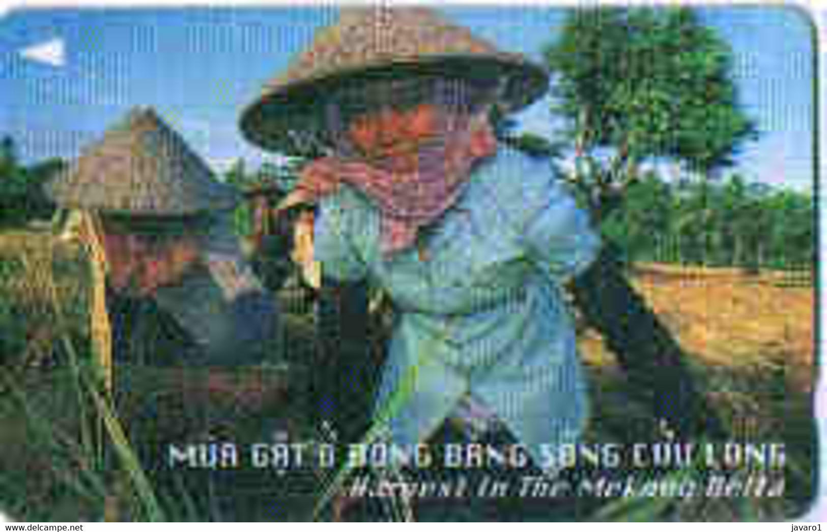 VIETNAM : M97C 150 HARVEST IN TEH MEKONG DELT USED - Viêt-Nam