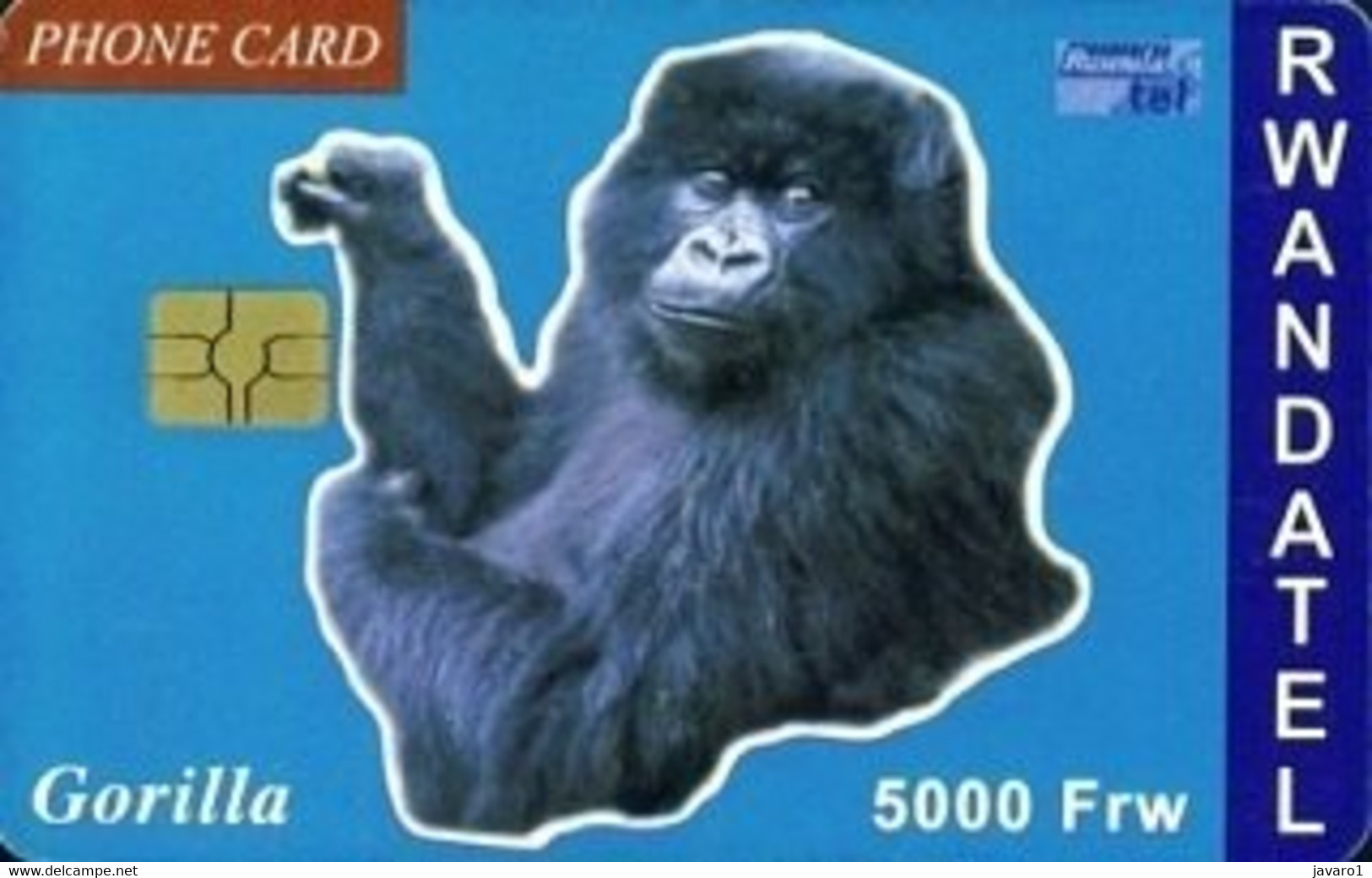 RWANDA : RWA-06 5000 FrW  Gorilla USED - Rwanda