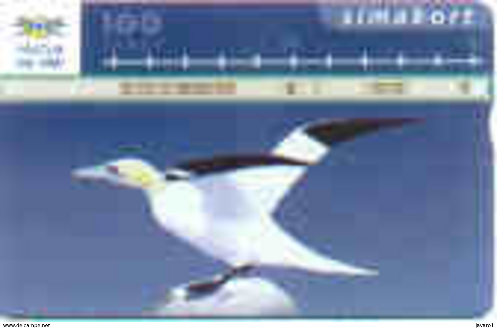 ICELAND : ICE14 Simakort 14 Utg  SULA Bird USED - Island