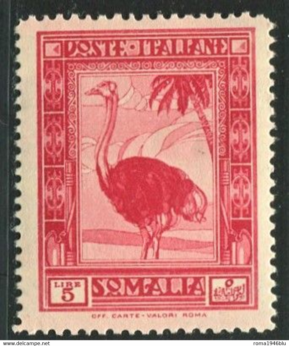 SOMALIA 1932 PITTORICA SASSONE N .181 ** MNH CENTRATA - Somalia