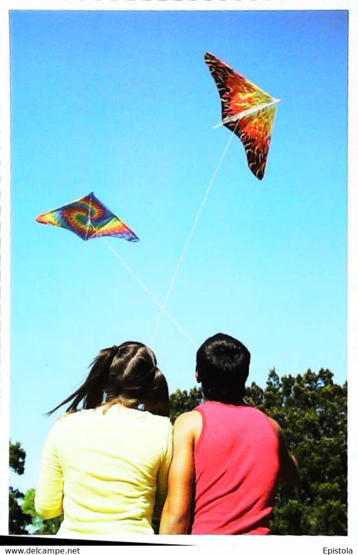 ►    Cerfs Volants  Kite - Jeux Et Jouets