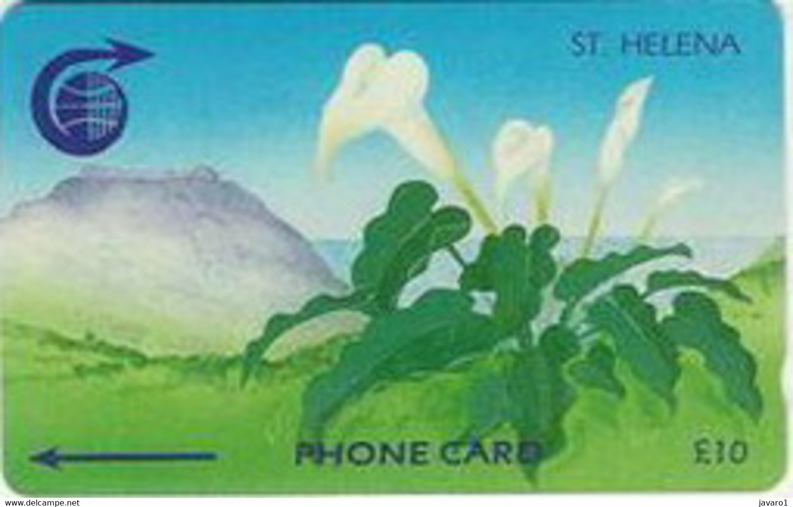 STHELENA : STH08 L.10 ARUM LILY MINT - Isola Sant'Elena