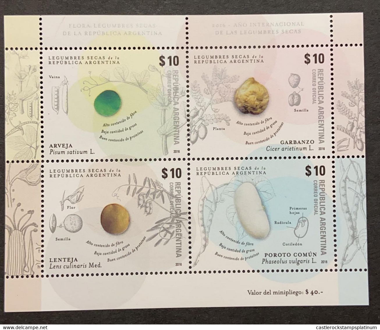 A) 2016, ARGENTINA, VEGETABLES, INTERNATIONAL YEAR, MNH, PEAS, CHICKPEAS, LENTIL, WHITE BEANS - Unused Stamps