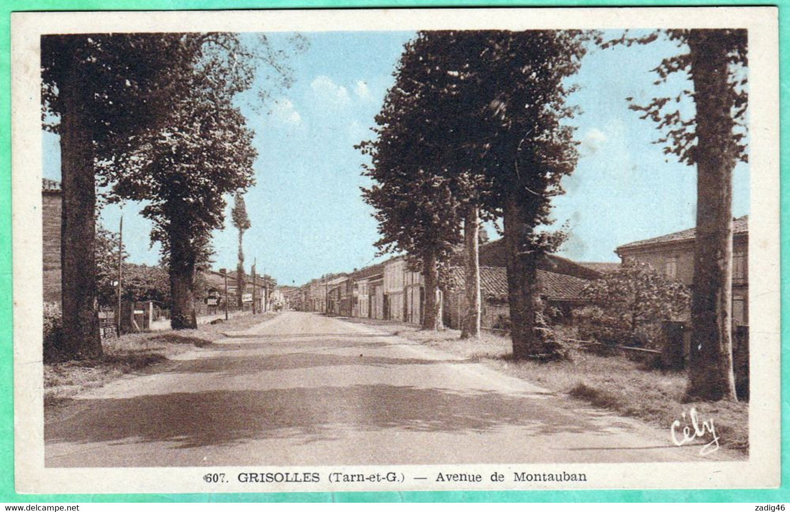 607 - GRISOLLES - AVENUE DE MONTAUBAN - Grisolles