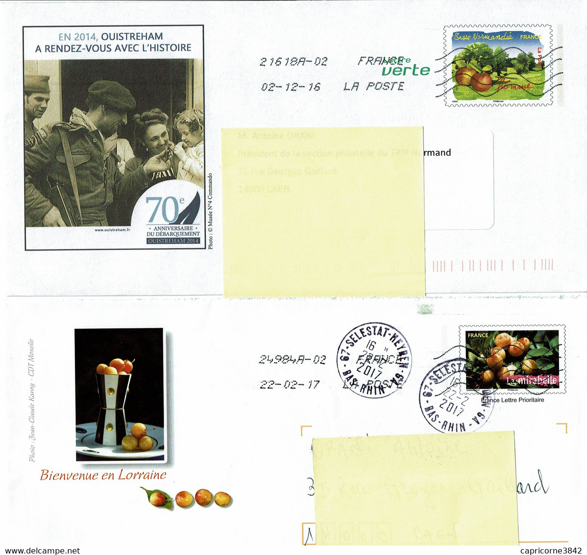 2 Enveloppes PAP - FRUITS  - MIRABELLES ET POMMES - PAP:  Varia (1995-...)