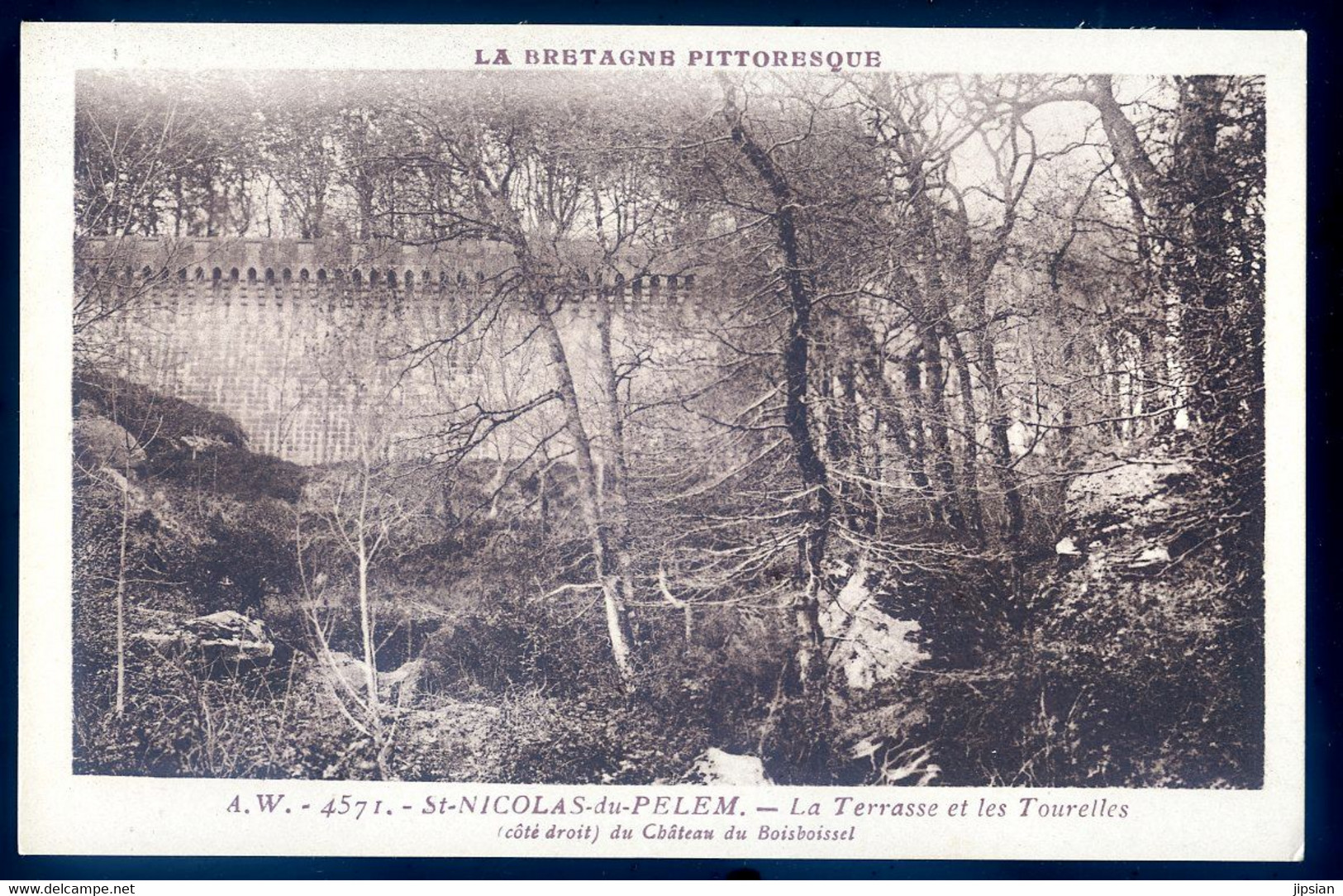 Cpa Du 22 St Nicolas Du Pelem La Terrasse Et Les Tourelles Du Château Boisboissel    AVR20-203 - Saint-Nicolas-du-Pélem