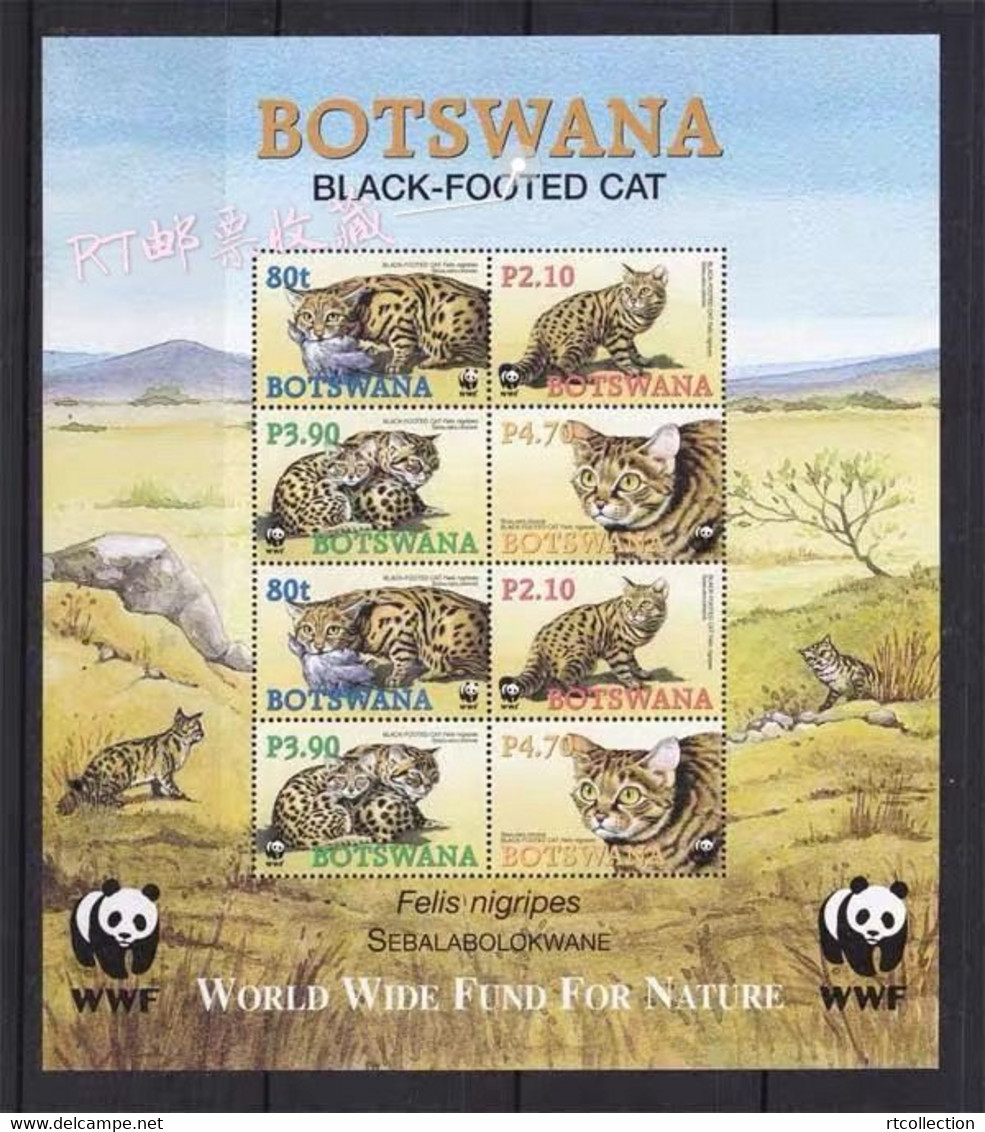 Botswana 2005 M/S Endangered Species Black-footed Cat Cats Animals Fauna Wildlife Wild Nature WWF W.W.F. Stamps MNH - Sonstige & Ohne Zuordnung