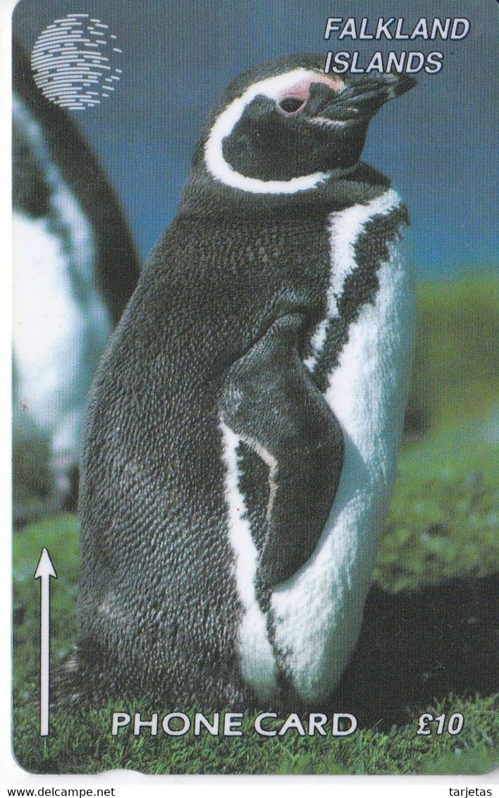 184CFKB TARJETA DE FALKLAND ISLANDS DE UN PINGÜINO (PENGUIN) - Falklandeilanden