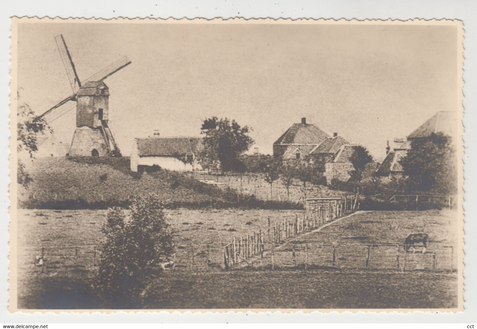 Kruishoutem FOTOKAART Van De Keimolen   MOLEN MOULIN - Kruishoutem