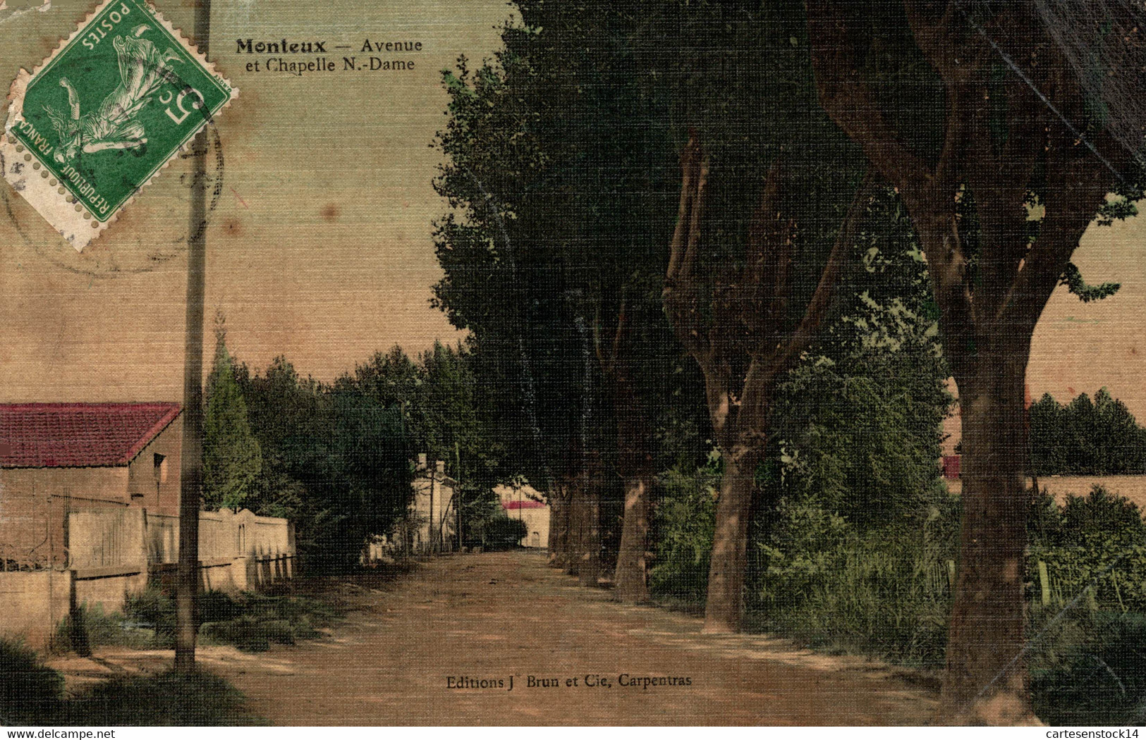 N° 4114 Z -cpa Monteux -avenue Et Chapelle Notre Dame- - Monteux