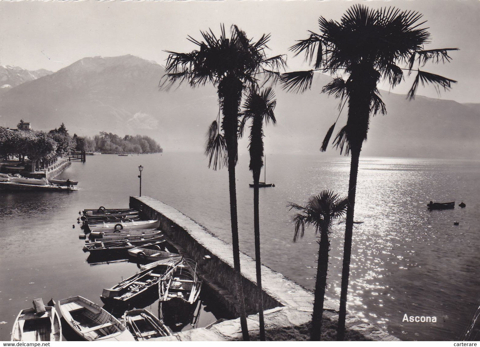 SUISSE,HLVETIA,SWISS,SWITZERLAND,SVIZZERA,SCHWEIZ,TESSIN,ASCONA,LAGO MAGGIORE,CARTE PHOTO - Ascona