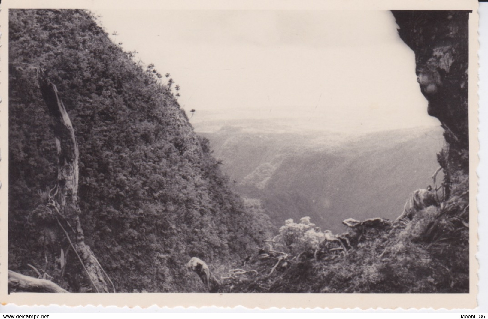 974 - ILE La  REUNION  - CARTE PHOTO - LA MONTAGNE VUE VERS SAINT - DENIS - Saint Denis