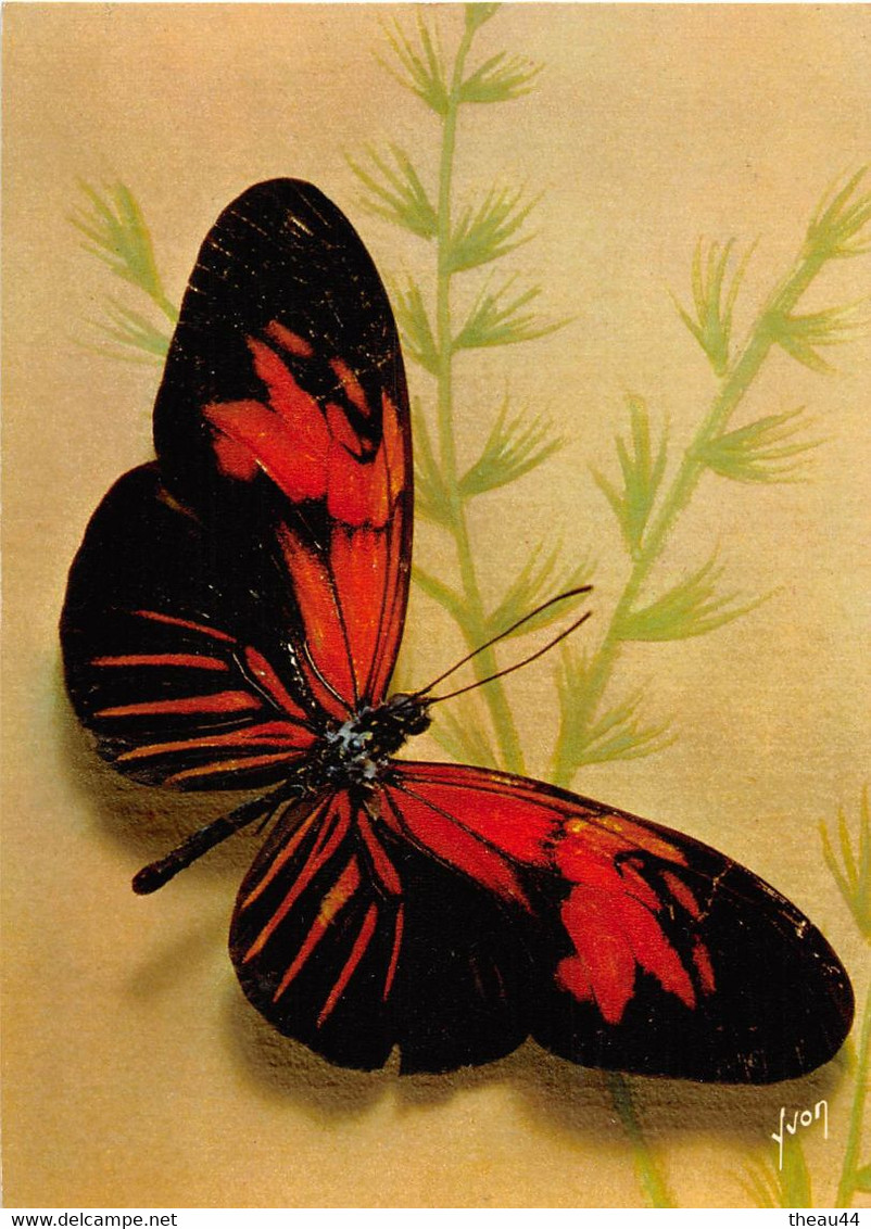 ¤¤   -     Lot De 7 Cartes   -   PAPILLONS Exotiques De Guyane, Brésil, Madagascar, Inde, Malaisie ........  -   ¤¤ - Papillons