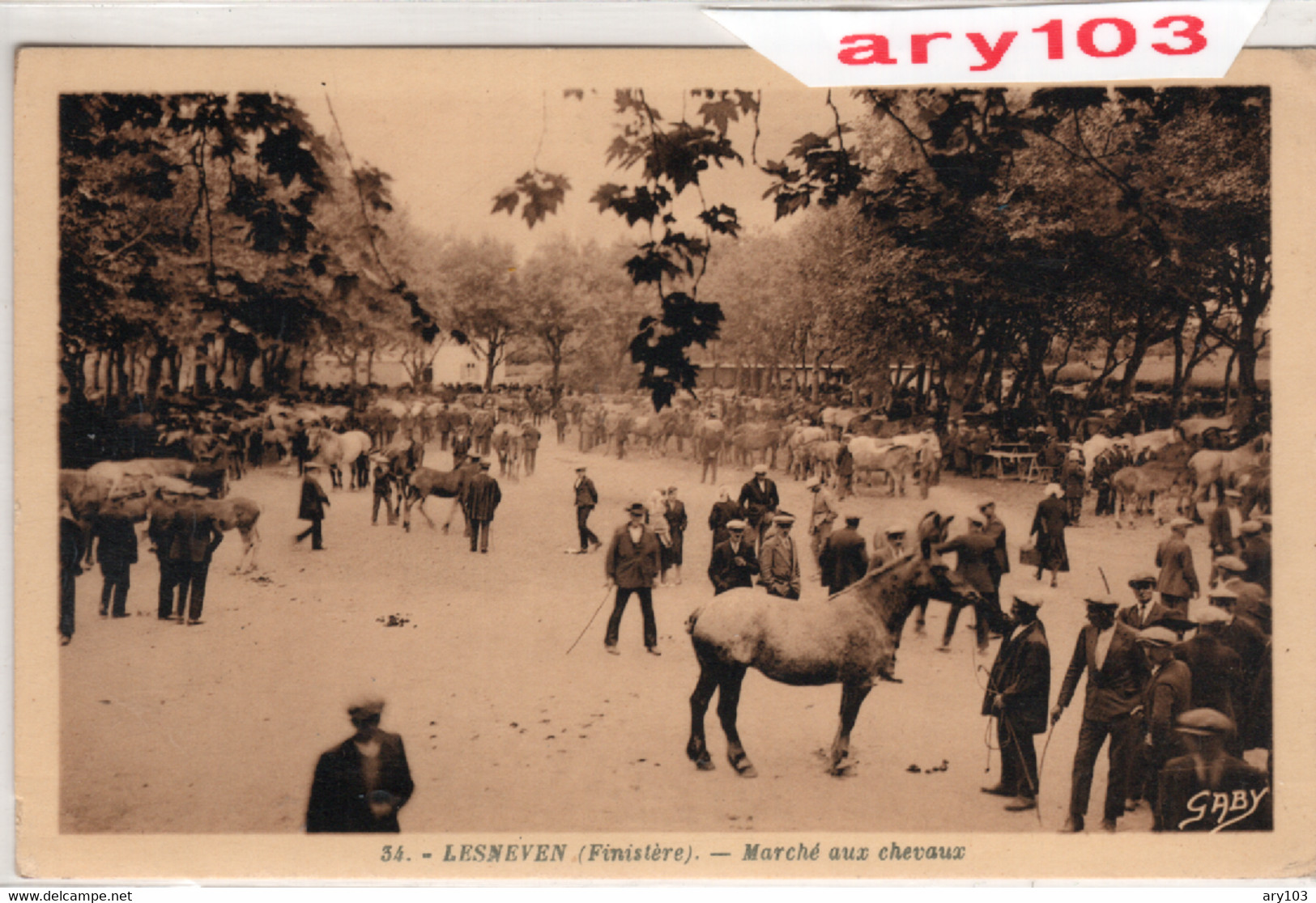 29- Finistére _Lesneven _marché Aux Chevaux - Lesneven