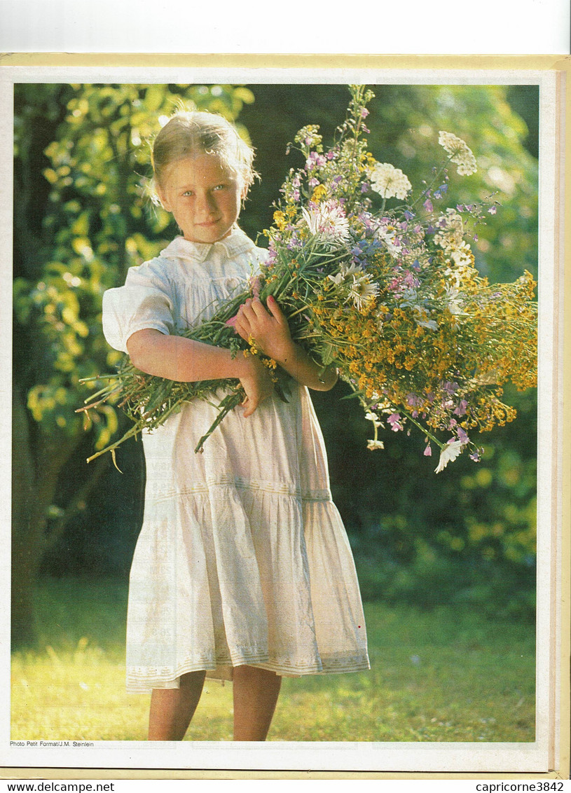 1988 - LA VIE EN 1888 ( Images Reproductions Du Calendrier Des Postes 1888) - Almanachs Oberthur - Grand Format : 1981-90