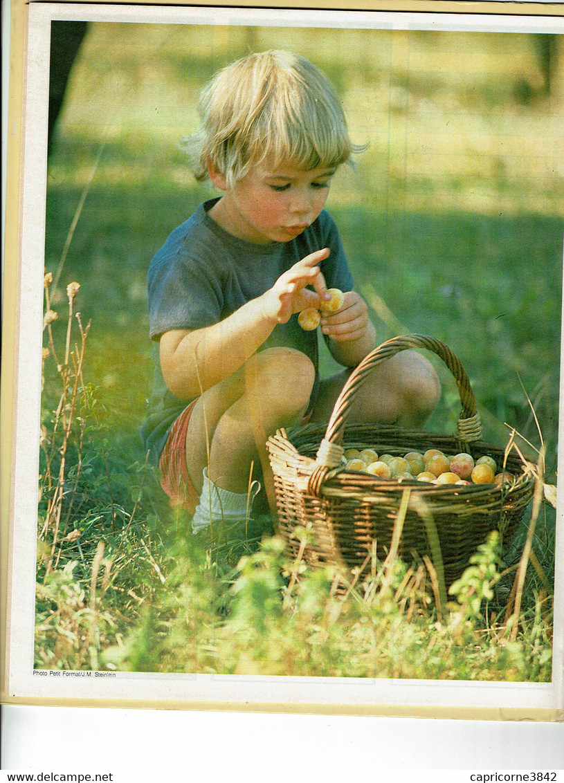 1988 - LA VIE EN 1888 ( Images Reproductions Du Calendrier Des Postes 1888) - Almanachs Oberthur - Grossformat : 1981-90