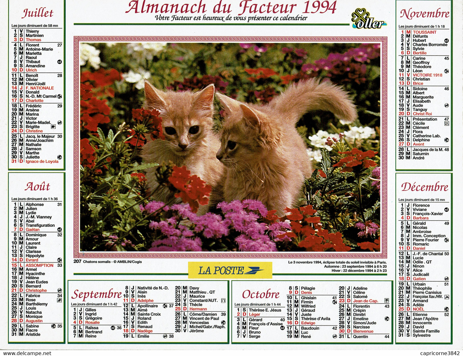 1994 - CHATONS SOMALIS Et CHATON PERSAN - Editions Oller - Tamaño Grande : 1991-00