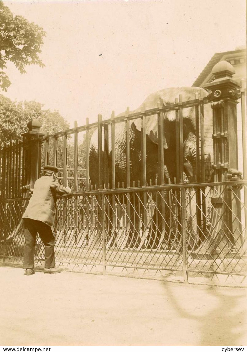 PARIS - Zoo De Vincennes - Luoghi