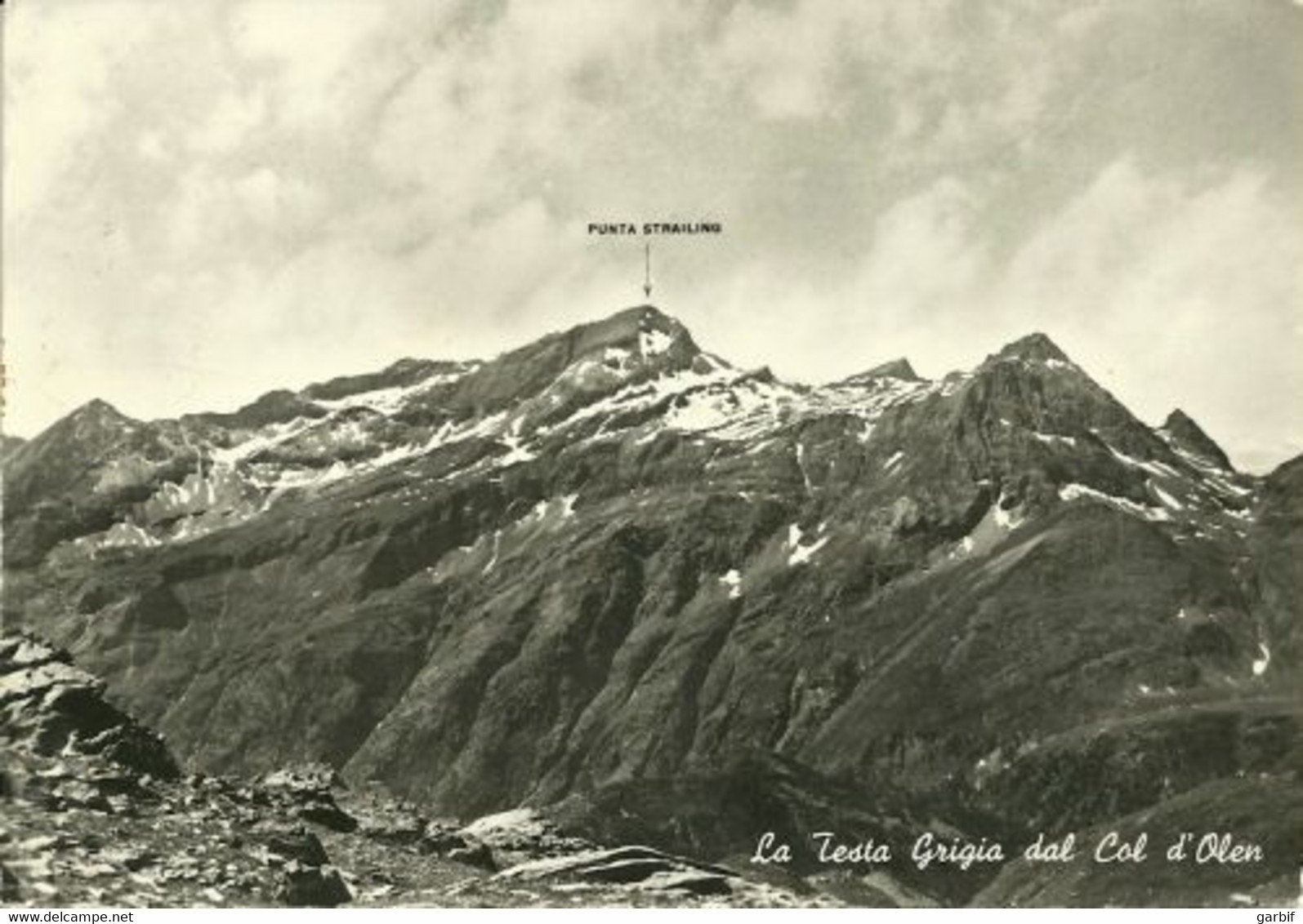 Monte Rosa - La Testa Grigia Dal Col D'Olen - Vg - Vercelli