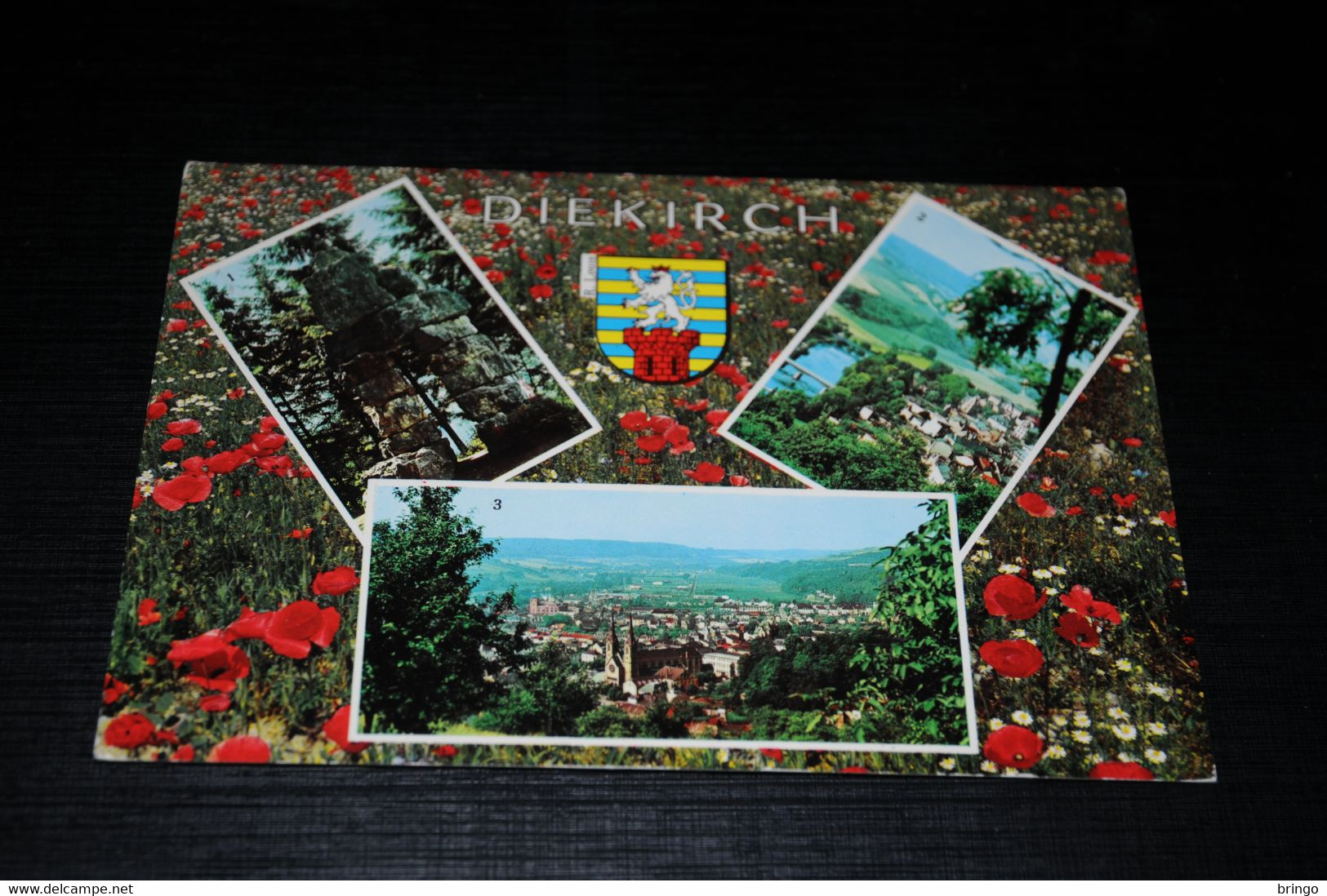 26573-                   LUXEMBOURG, DIEKIRCH - Diekirch