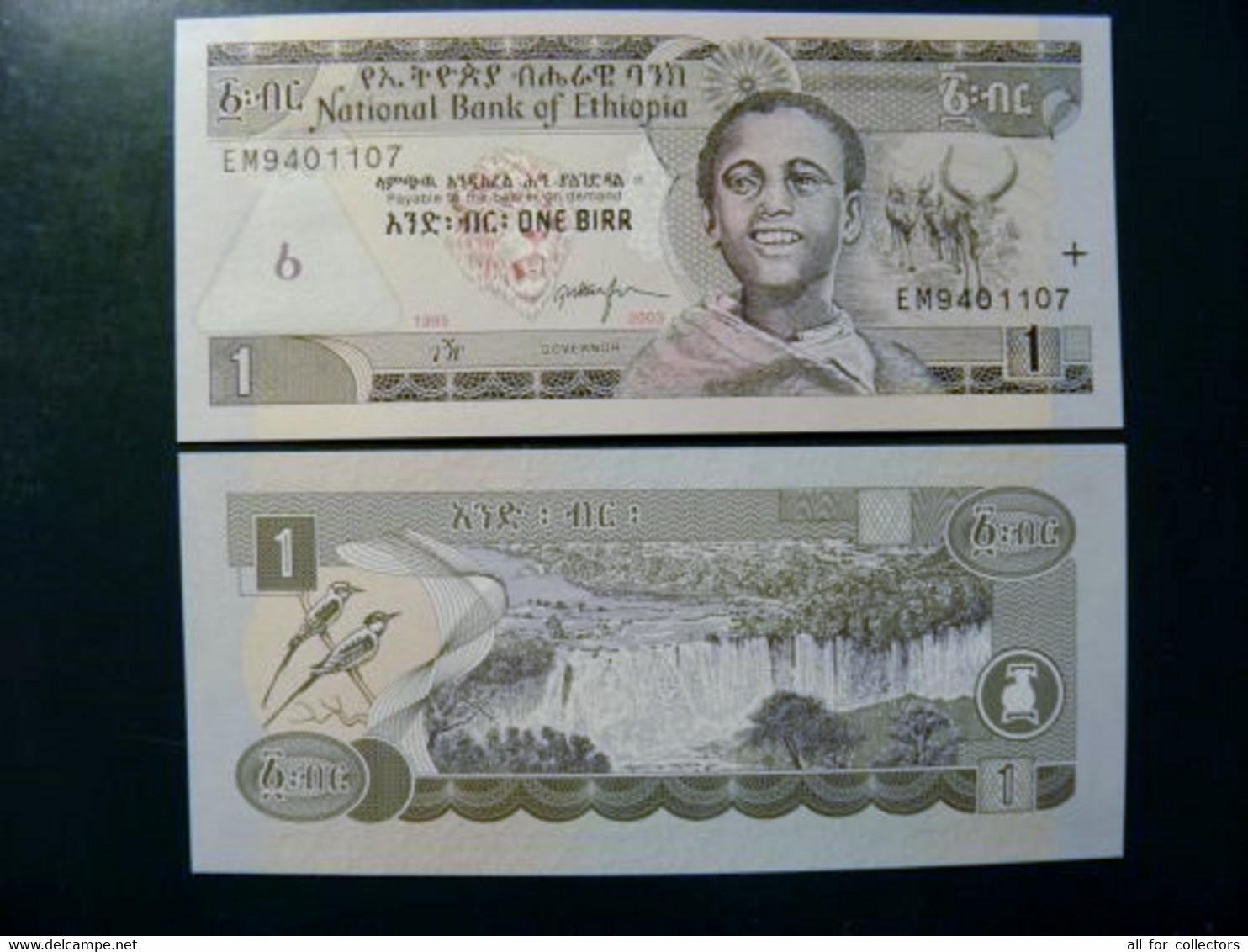 UNC Banknote Ethiopia 1 Birr 2003 P-46c Animals Birds Waterfall Fall Lion Head - Etiopía