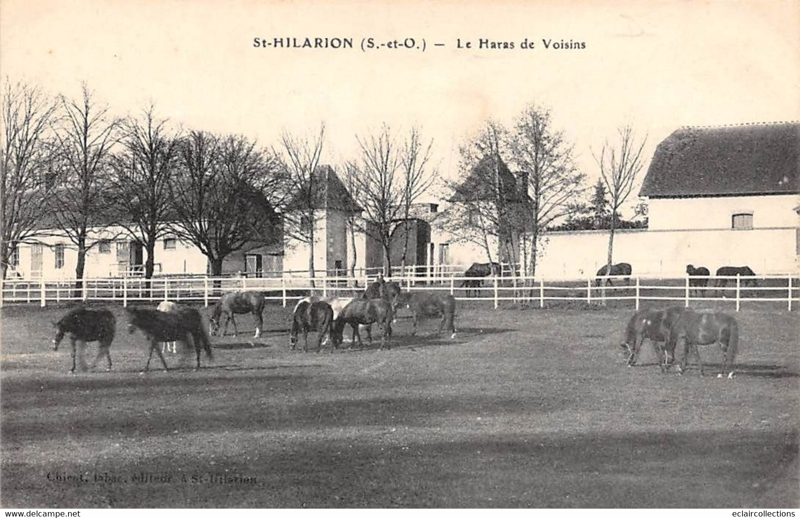 Saint Hilarion           78        Le Haras De Voisins           (voir Scan) - Other & Unclassified