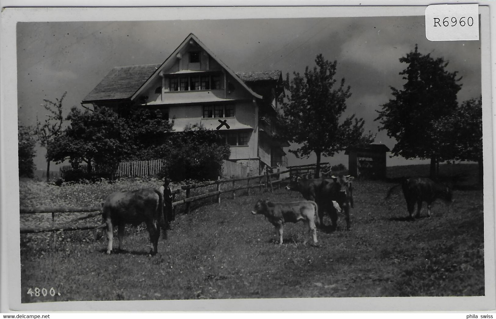 Kurhaus Hüberli - Nesslau - Kühe Vaches Cows - Nesslau