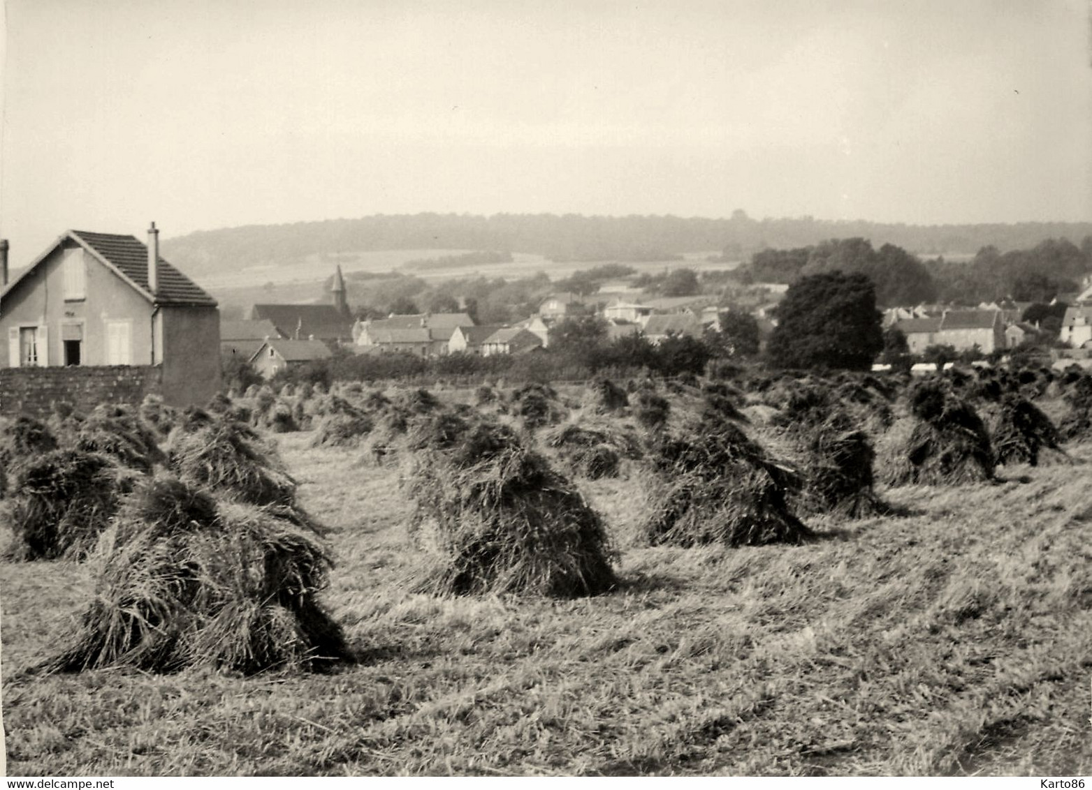 Pradelles * Fenaison Foins * Haute Loire * Photo Ancienne - Maurecourt