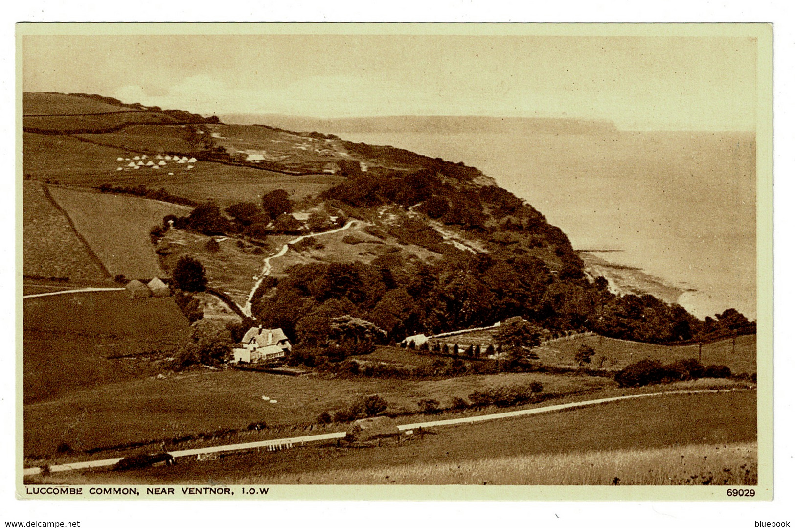 Ref 1424 - Early Postcard - Luccombe Common Near Ventnor - Isle Of Wight - Autres & Non Classés