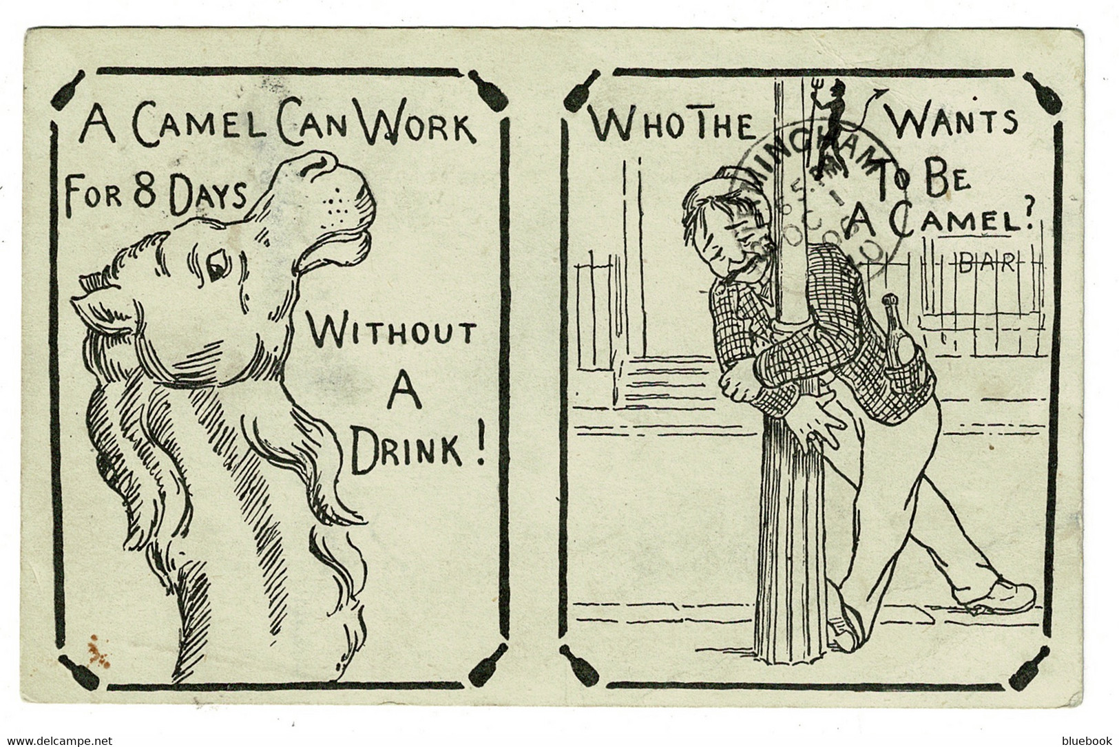 Ref 1435 - 1906 Comic Postcard - Drink Drunkard  & Camel - Topical Message - Isle Of Man To Birmingham - Fumetti