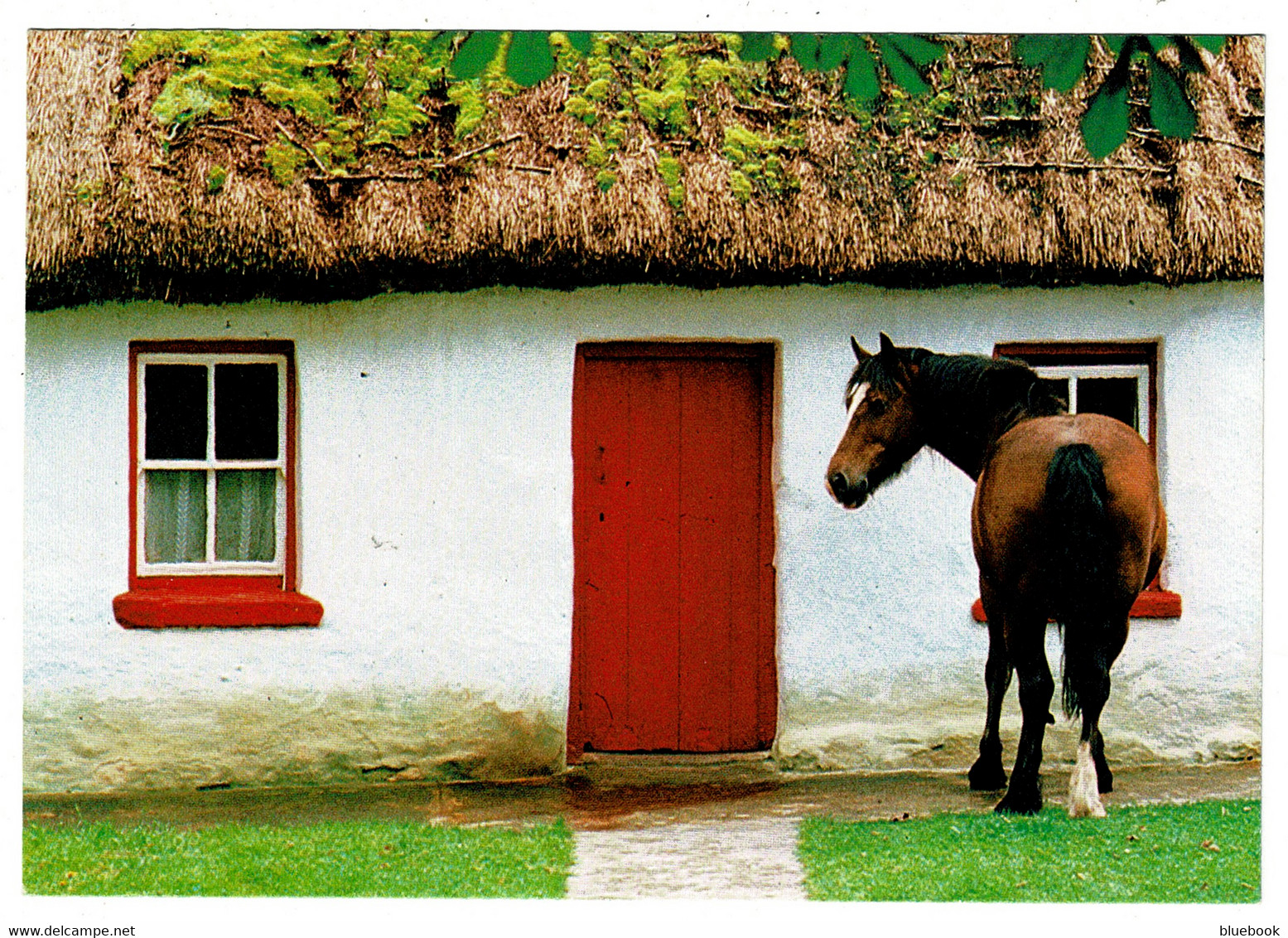 Ref 1437 - Postcard - Currachs Off Aran Islands - County Galway Ireland Eire - Galway