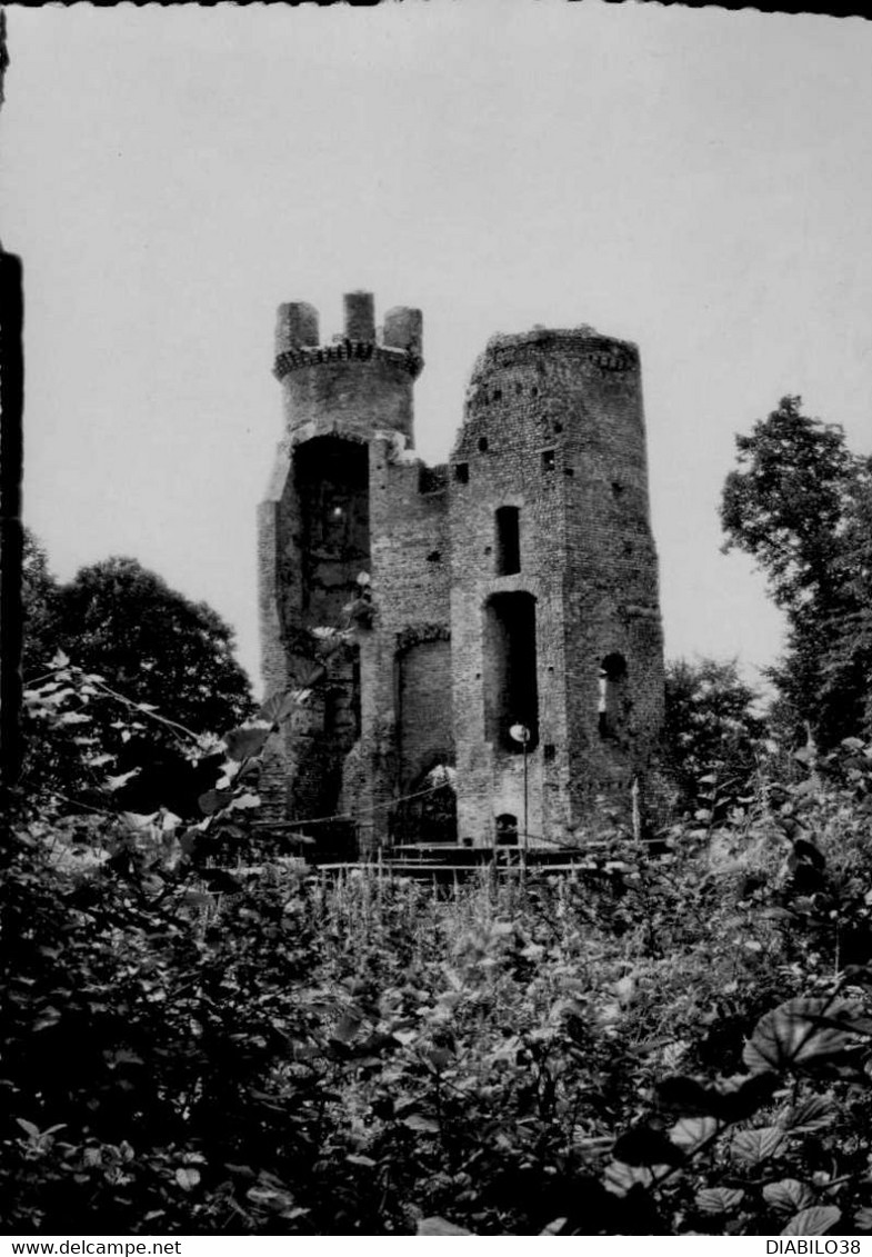 BRESSIEUX   ( ISERE )    RUINES DU CHATEAU FEODAL - Bressieux