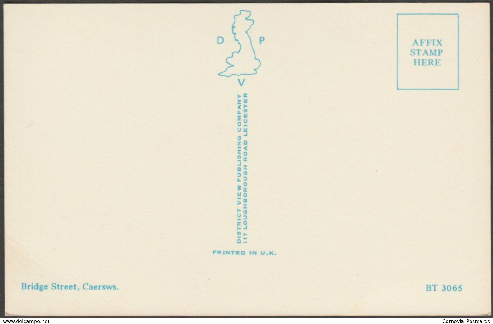 Bridge Street, Caersws, Montgomeryshire, C.1970 - District View Postcard - Montgomeryshire