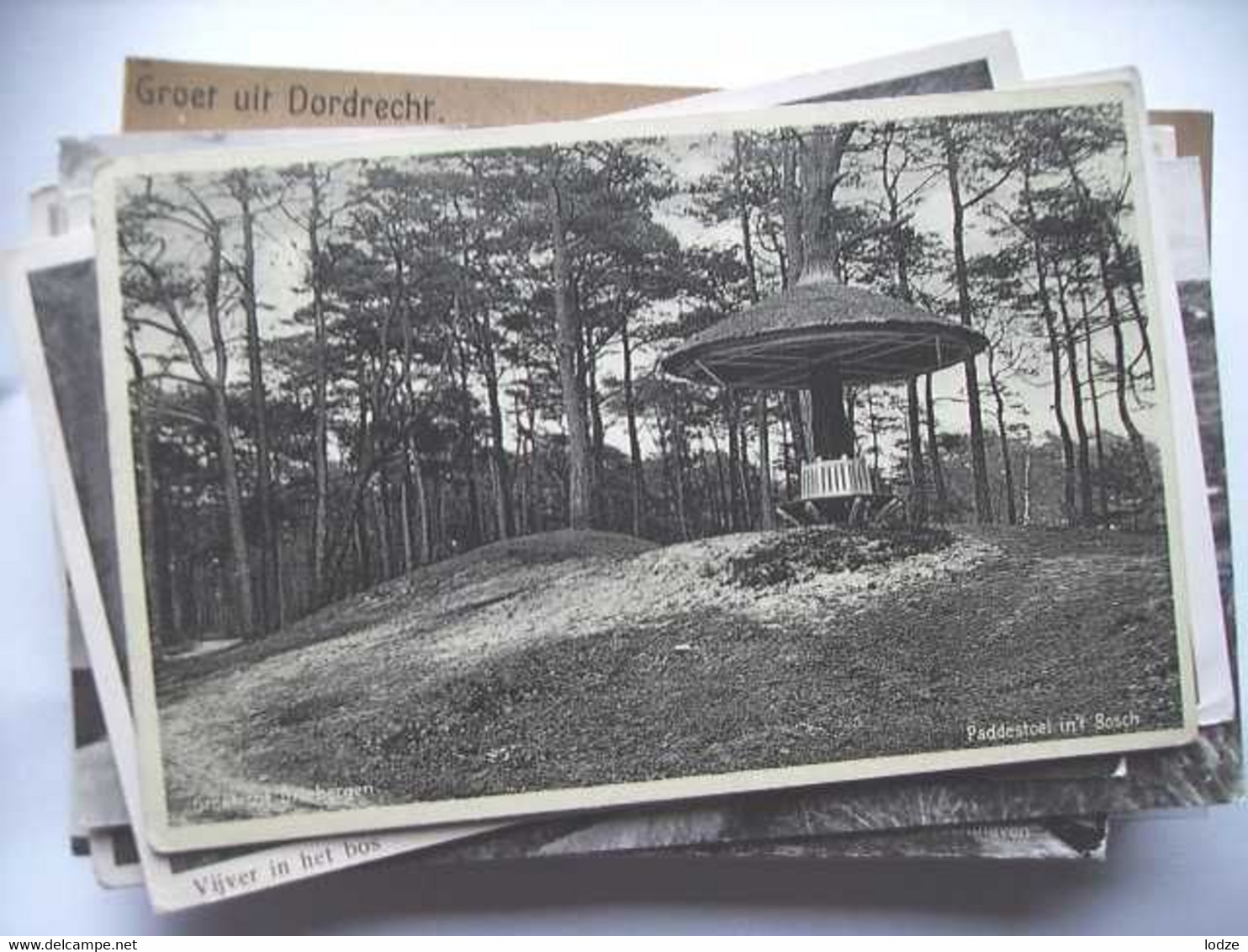 Nederland Holland Pays Bas Driebergen Met Zijn Paddestoel - Driebergen – Rijsenburg