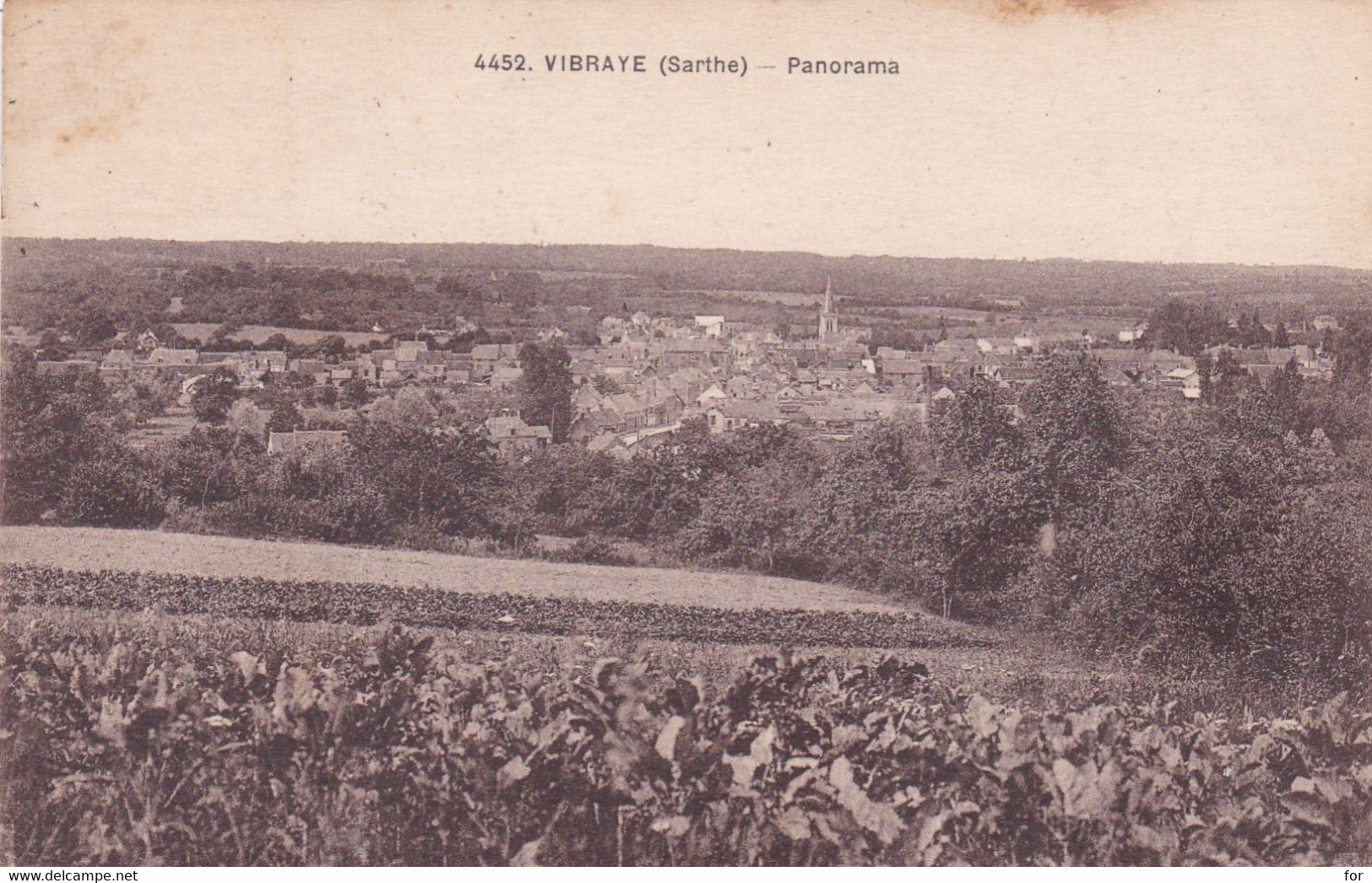 Sarthe : VIBRAYE : Panorama : - Vibraye