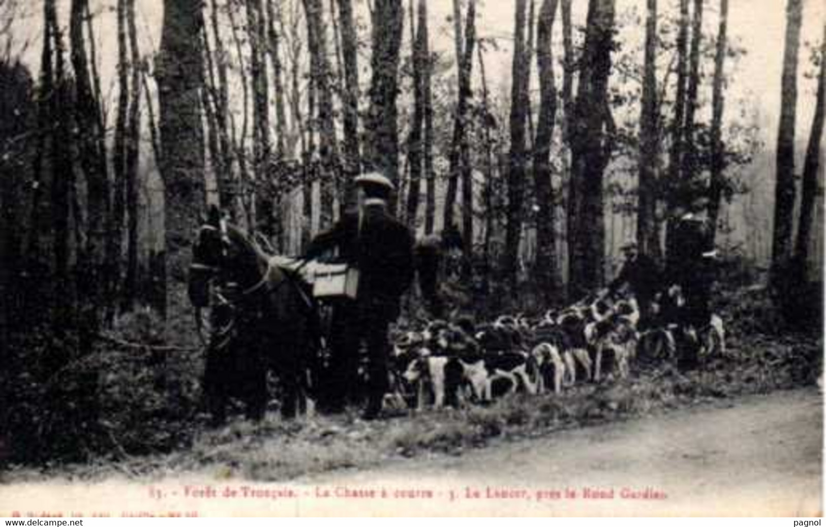 03 : Forêt De Tronçais : La Chasse à Courre - Le Lancer, Près Le Rond Gardien - Other & Unclassified