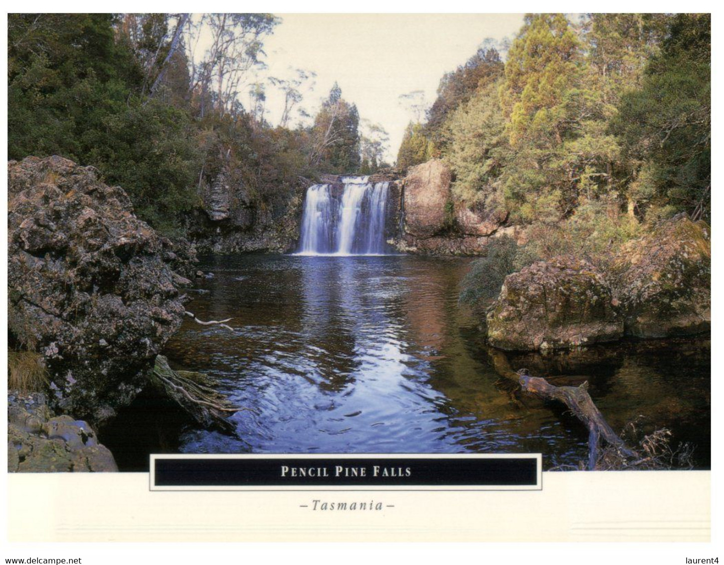 (CC 21) Australia - TAS - Cradle Mountain Lake St Clair Pencing Pine Falls - Wilderness