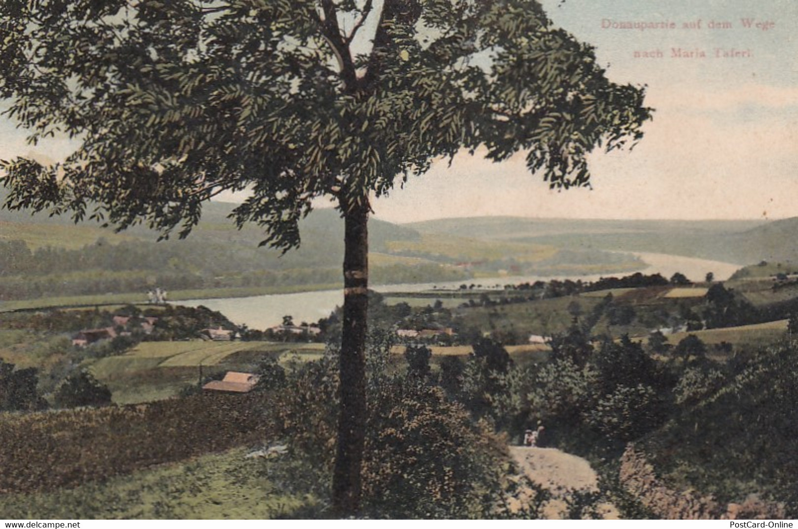 3581 - Österreich - Niederösterreich , Donaupartie Auf Dem Wege Nach Maria Taferl - Gelaufen 1907 - Maria Taferl