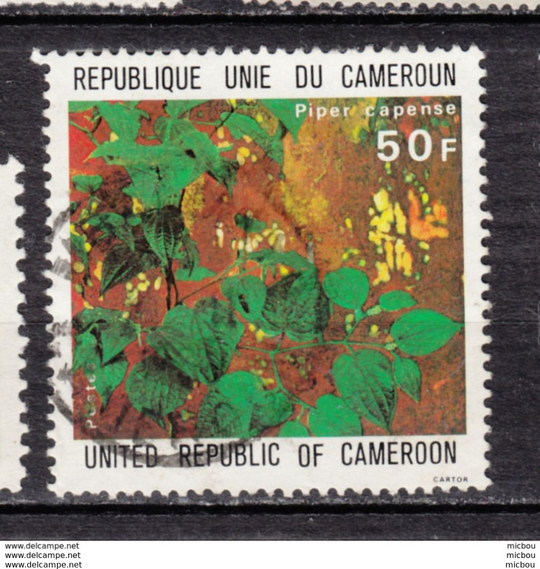 ##23, Cameroun, Cameroon, Poivre, Pepper, épice, Spice, Alimentation, Piper Capense - Cameroon (1960-...)