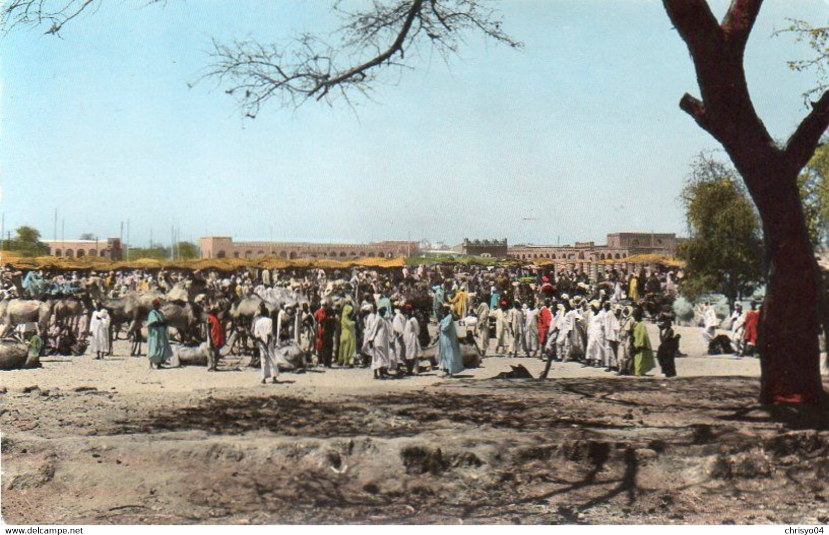 V12 65Sb  Tchad Abéche Le Marché Aux Bestiaux - Chad