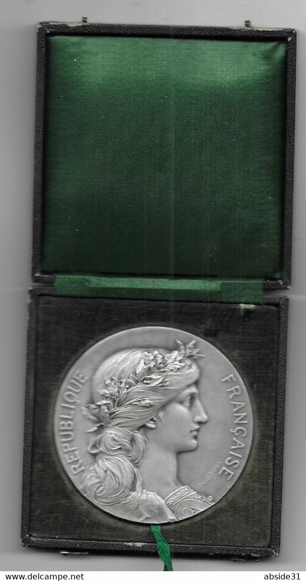 Grande Médaille En Bronze Argenté -  Souvenir De La Grande Guerre  1919 - Loi Du 5 Août 1914 - Frankrijk