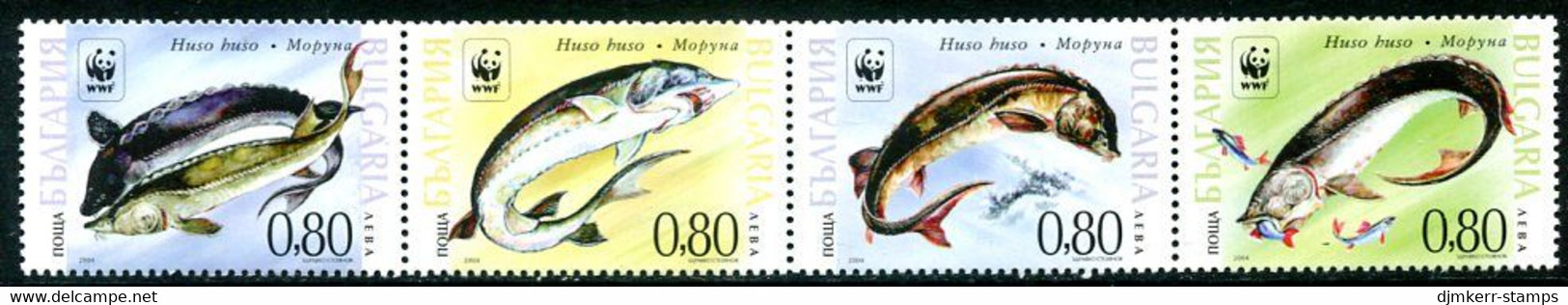 BULGARIA 2004 Sturgeons MNH / **.  Michel 4678-81 - Unused Stamps