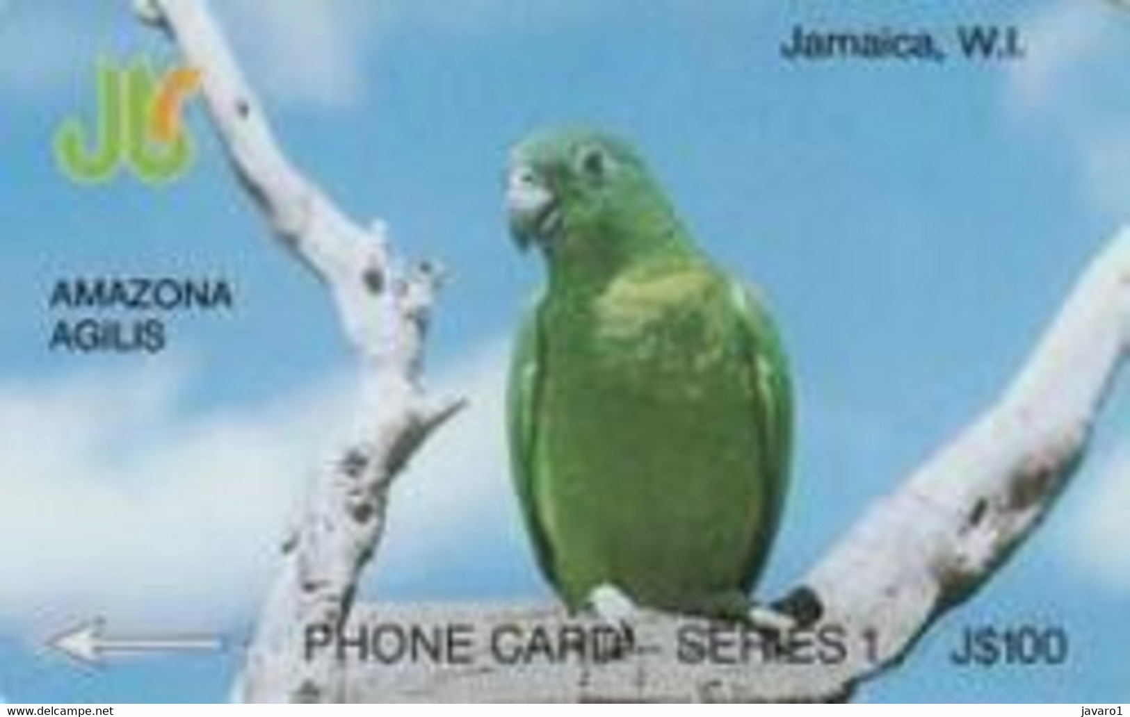 JAMAICA : J$100 AMAZONA   DUMMY CARD , NO CONTROL On WHITE Strip - Jamaica