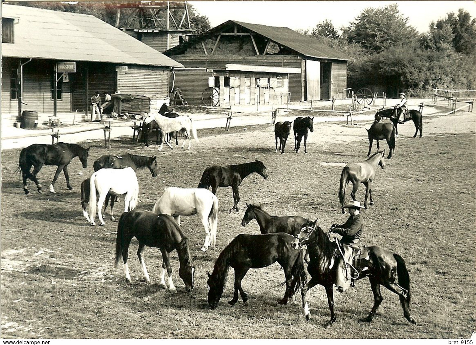 95 AUVERS SUR OISE CARTE PHOTO RANCH RODEO 11 JUILLET 1965 UN MOMENT DE DETENTE POUR TOUTE L ECURIE - Auvers Sur Oise