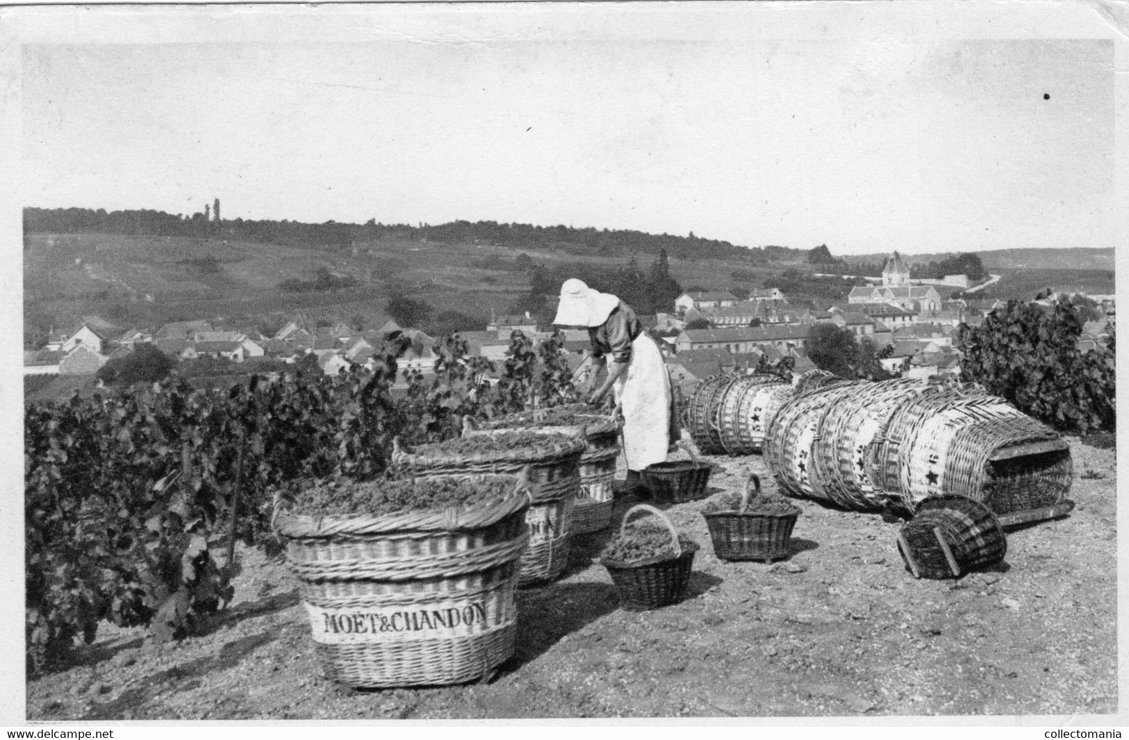 6 CP CHAMPAGNE 1 Chromo Fabrication Vendage Chargement Mise En Bouteilles Porteurs - Champagne & Sparkling Wine