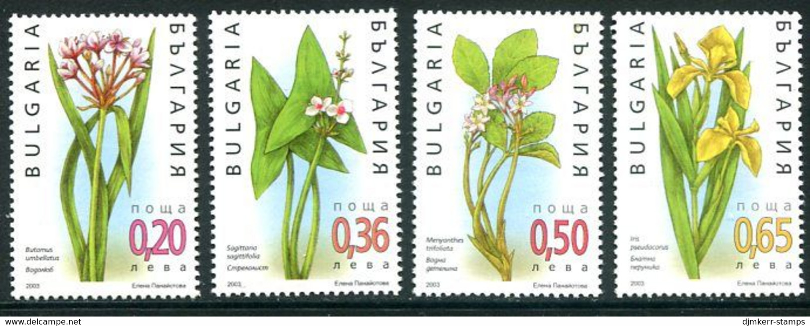 BULGARIA 2003 Wetland Plants MNH / **  Michel 4605-08 - Unused Stamps