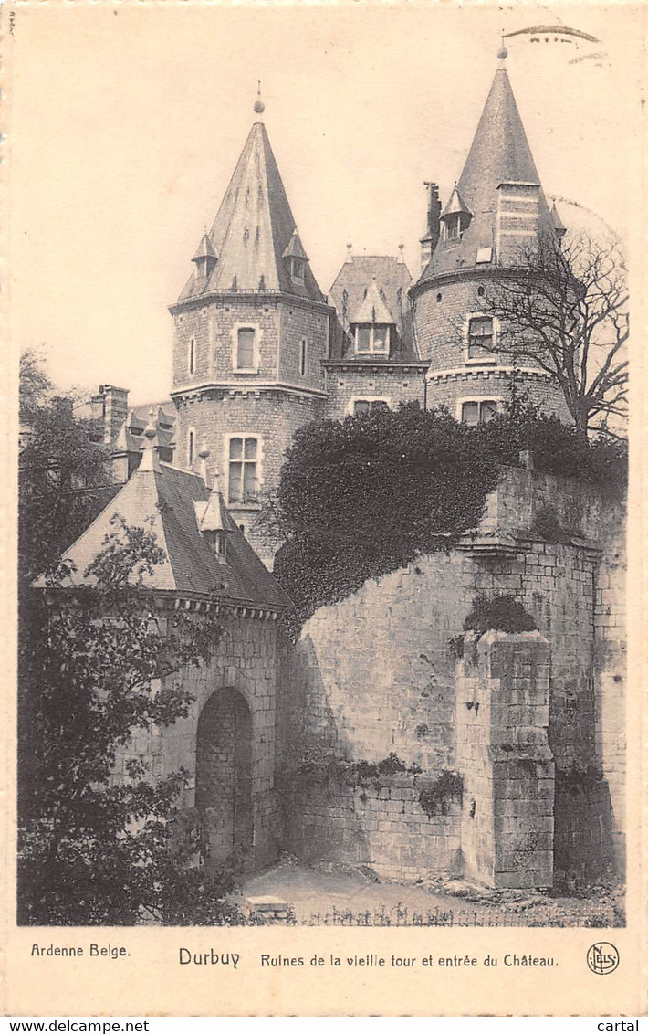 DURBUY - Ruines De La Vieille Tour Et Entrée Du Château. - Durbuy