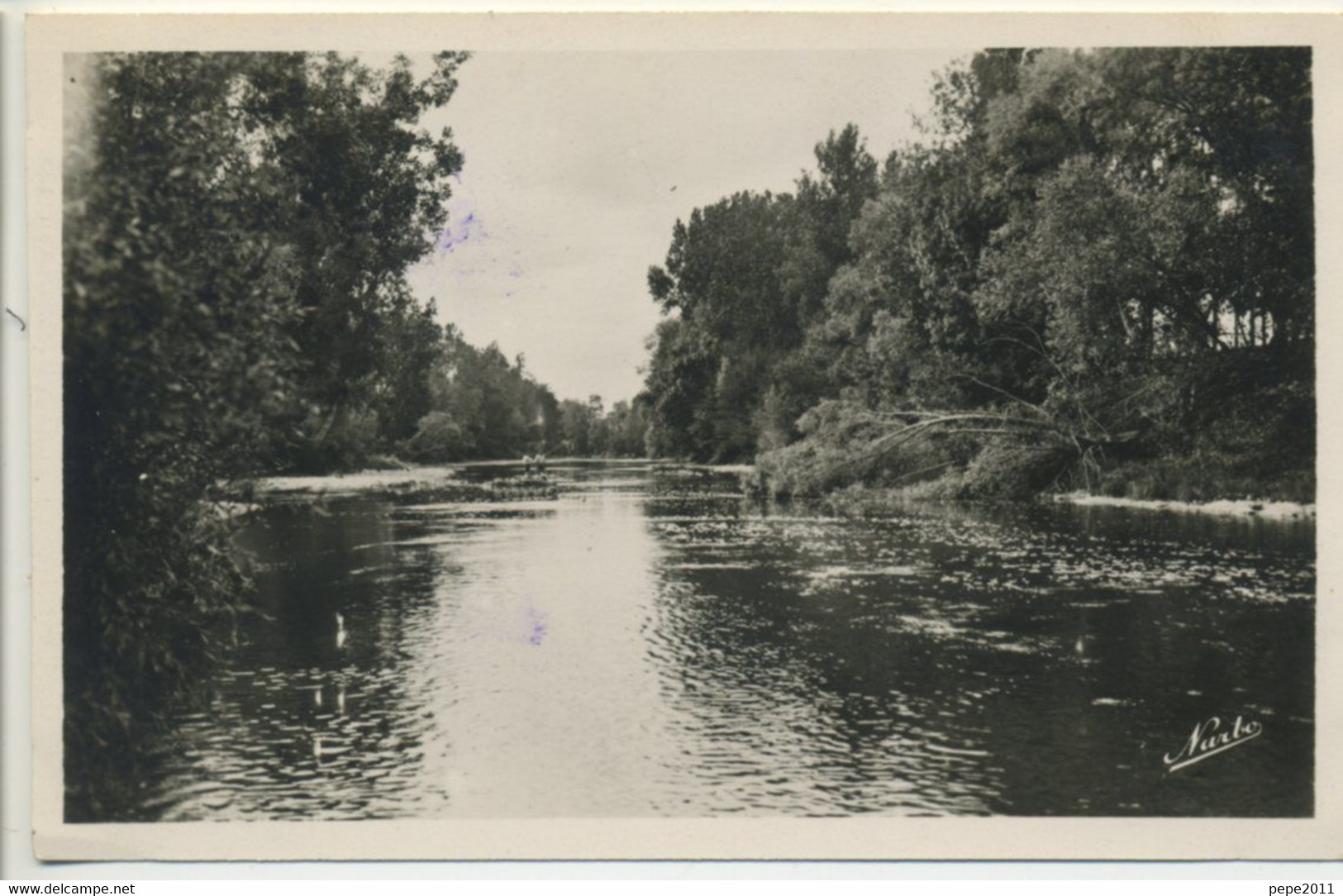 CPA 82 NEGREPELISSE Les Bords De L'Aveyron Peu Commune - Negrepelisse