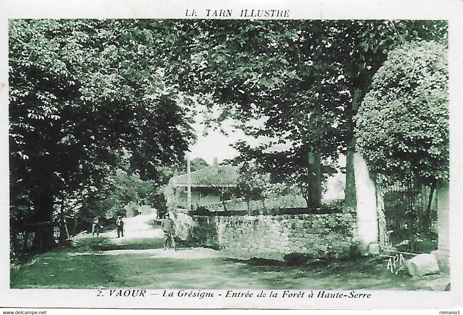 81)    VAOUR  -  La Grésigne  - Entrée De La Forêt à Haute Serre - Vaour