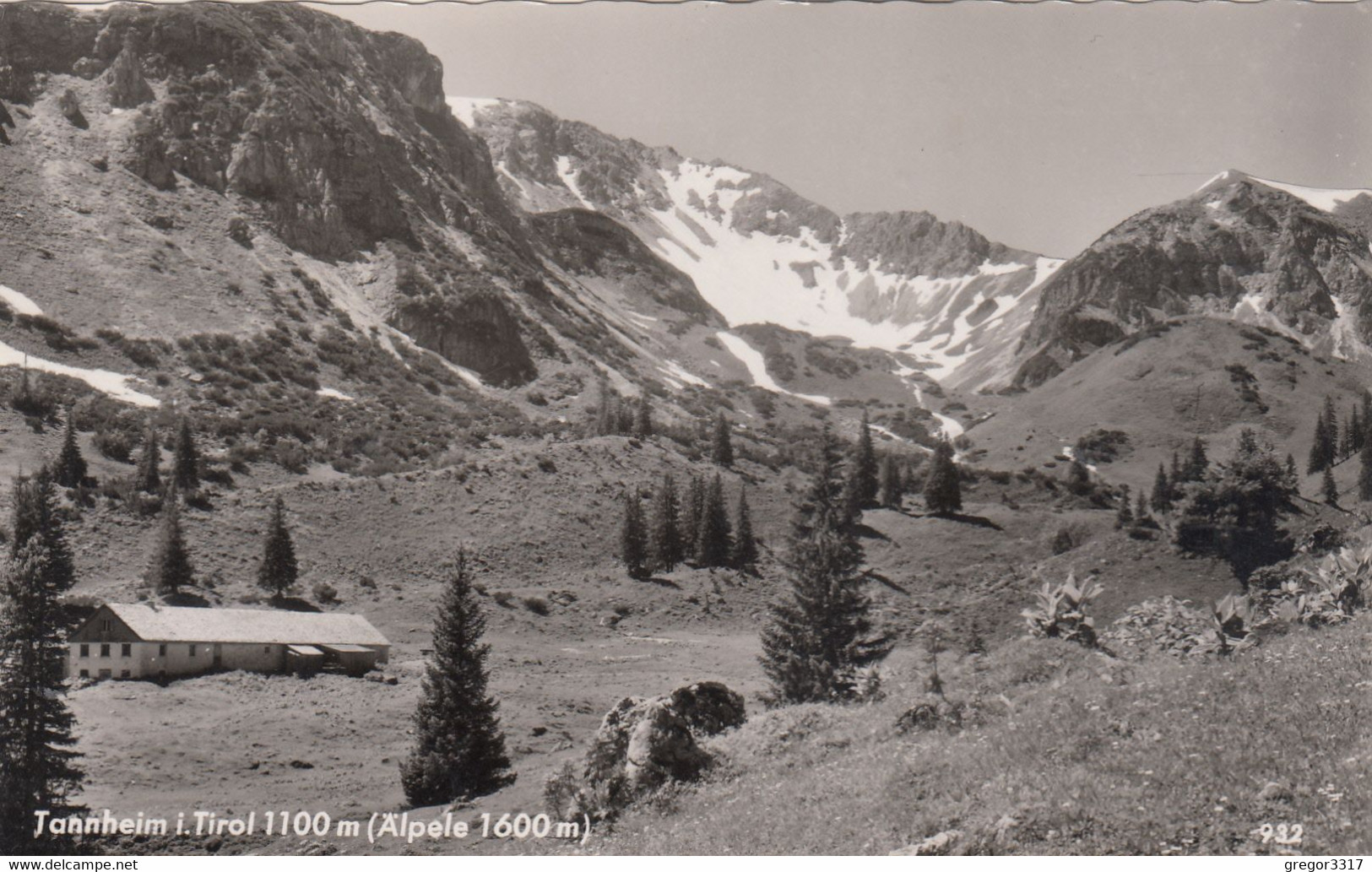 881) TANNHEIM I. TIROL - ÄLPELE - Tolle Alte S/W Ansicht TOP !! - Tannheim